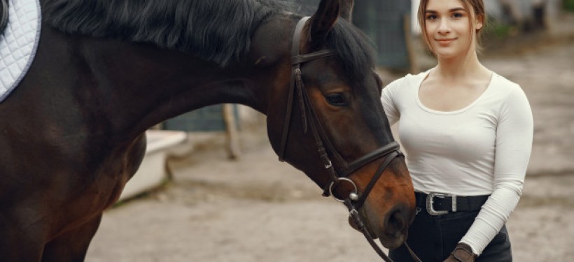 At Yarışı Sonuçları günün her saatinde TJK Tv Canlı izle kanalında