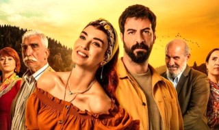 Kuzey Yıldızı İlk Aşk 36. bölüm canlı izle